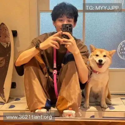 韦飚将